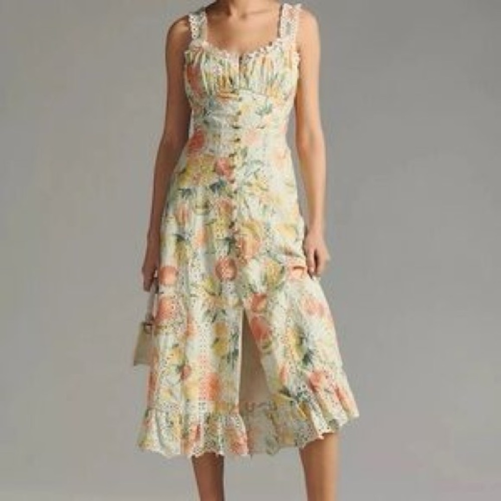 Anthropologie Ruffled Eyelet Dress with gingham and citrus